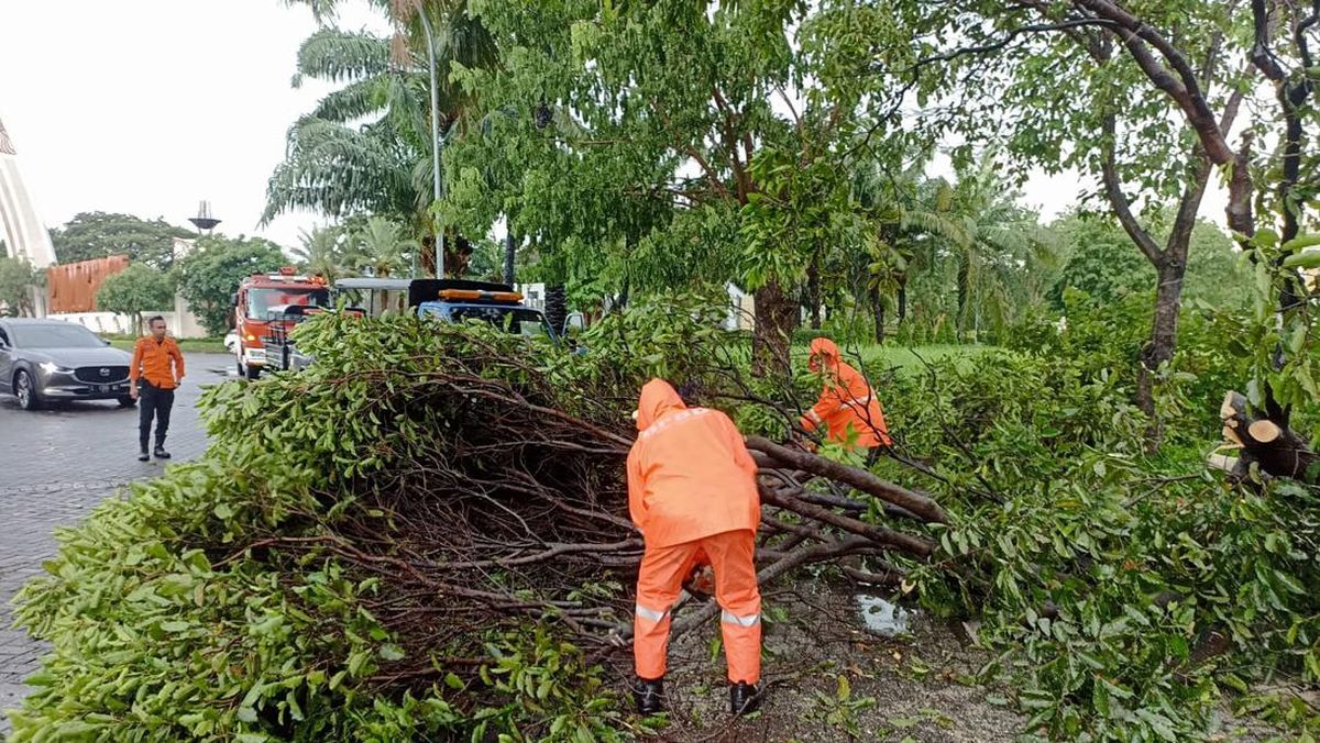 Imbas Hujan Deras Sejumlah Pohon Di Surabaya Tumbang Beritatkp