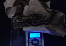 Terungkap Saat Razia: Pelajar 15 Tahun Kedapatan Bawa Ganja dan Sabu