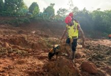 388 Personel dan Empat Anjing Pelacak Dikerahkan untuk Cari 26 Korban Longsor di Banjarnegara