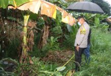 Polresta Tangerang Selidiki Temuan Mayat Pria Tanpa Identitas di Kebun Pisang Cikupa