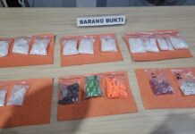 Kode Transaksi Narkoba di Depok: Paket “Kelinci”, “Kambing”, dan “Sapi” Terbongkar Polisi