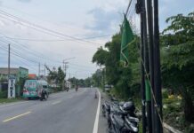 Tragis di Banyuwangi, Warga Tewas Dikeroyok Belasan Anak Punk, Pelaku Kabur Sambil Berselebrasi
