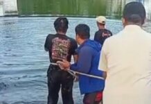 Bocah Tewas Tenggelam saat Main Bareng Teman di Embung Sejuk