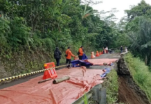 Longsor Tutup Jalan Utama Desa Segaran Probolinggo, Akses Roda Empat Dihentikan