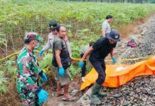 Pemuda Tewas Tertemper KA di Dolok Merangir, Masinis Sudah Beri Peringatan