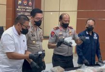 23 Paket Kokain ‘Bugatti’ Terdampar di Pantai Sumenep, Nilainya Tembus Ratusan Miliar