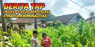 Polisi Turun ke Lahan Jagung, Dampingi Warga Kelola Pertanian