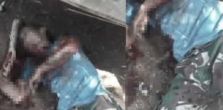TNBBS Pastikan Video Viral Warga Lampung Tewas Diterkam Harimau Adalah Hoaks, Fakta Aslinya Korban Ledakan Mortir di Bandung