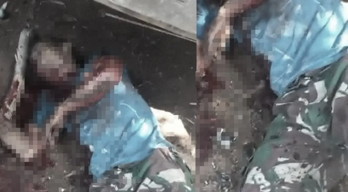 TNBBS Pastikan Video Viral Warga Lampung Tewas Diterkam Harimau Adalah Hoaks, Fakta Aslinya Korban Ledakan Mortir di Bandung