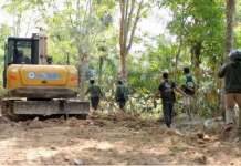Kementerian Kehutanan Tetapkan Dua Tersangka Kasus Pembukaan Jalan Ilegal di TNBBS Lampung Barat