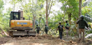 Kementerian Kehutanan Tetapkan Dua Tersangka Kasus Pembukaan Jalan Ilegal di TNBBS Lampung Barat