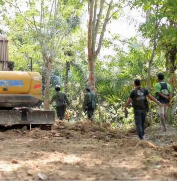 Kementerian Kehutanan Tetapkan Dua Tersangka Kasus Pembukaan Jalan Ilegal di TNBBS Lampung Barat