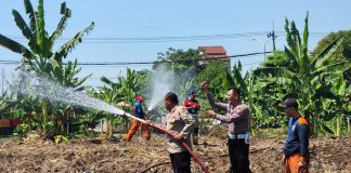 Hadapi Kemarau, Polres Pelabuhan Tanjungperak Siram Lahan Jagung Ketahanan Pangan