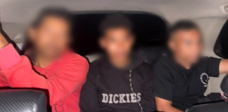 Tiga Pria Ditangkap Usai Video Pembakaran Burung Hantu Viral di Manggarai Barat