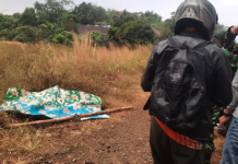 Pelaku Pembuangan Mayat Korban Mutilasi di Depok Ditangkap Saat Kabur ke Pandeglang