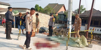 Ditolak Rujuk, Yanti Ditembak Mantan Suami hingga Tersungkur di Pelukan Anak