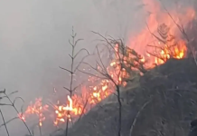 Gunung Bromo Kebakaran, TNBTS Tutup Sementara Sejumlah Akses Wisata