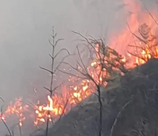 Gunung Bromo Kebakaran, TNBTS Tutup Sementara Sejumlah Akses Wisata