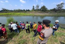Ditemukan Mengapung di Kanal Kedungbocok Sidoarjo, Mahasiswa Asal Jombang Diduga Korban Kecelakaan Tunggal