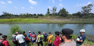 Ditemukan Mengapung di Kanal Kedungbocok Sidoarjo, Mahasiswa Asal Jombang Diduga Korban Kecelakaan Tunggal