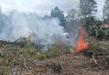 Polda Kalteng Selidiki 51 Kasus Kebakaran Hutan dan Lahan, 4 Perusahaan Masuk Radar Pendalaman