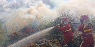 Buka Lahan dengan Cara Dibakar, 1 Pelaku Diamankan Polisi di Kalsel