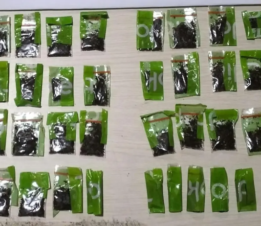 Tak Pakai Helm Berujung Temuan 43 Paket Tembakau Sintetis, Dua Pelajar SMP Diamankan di Pringsewu