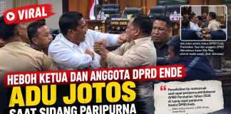 Ketua dan Anggota DPRD Ende Adu Jotos Saat Sidang Paripurna, Videonya Viral