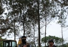 POHON PINUS DITEBANG, TEBING DIPOTONG, FAAM PERTANYAKAN TANGGUNG JAWAB DISPORABUDPAR NGANJUK